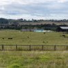 Auntie Glenda Chalker, Macarthur's Farm, South Camden